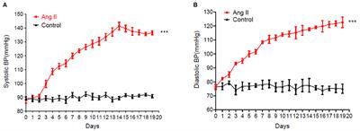 UPLC-MS-Based Serum Metabolomics Reveals Potential Biomarkers of Ang II-Induced Hypertension in Mice